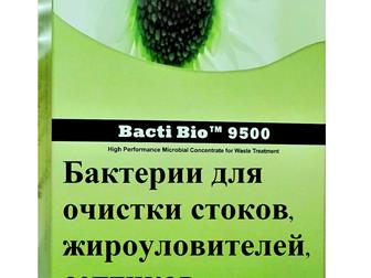       ,  , ,   38750434  