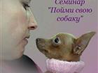 Скачать фотографию Другие животные Пойми свою собаку, 32297810 в Москве
