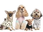 Увидеть foto  Одежда для собак от URBAN DOGS опт и розница 35349562 в Москве