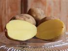 Увидеть фотографию  Картофель продовольственный от производителя, 39009849 в Канске