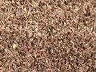 Увидеть фотографию Разное Семена медоносов и сидератов для пчеловодов 42310289 в Москве