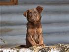����� 4,5 ���. ������ � ������ ����. ���������