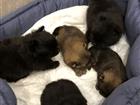 �������-��������