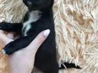 ������