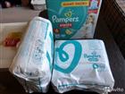  Pampers 6
