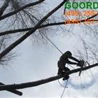 ���������� ������� �������� � ������