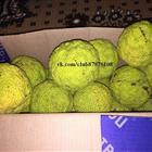 ����� ������� (������� ������ ), ����� ������