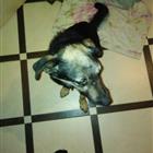 �������� �� ������ � ������ ����