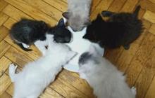 ������ ������ � ����� �������� ������ ���