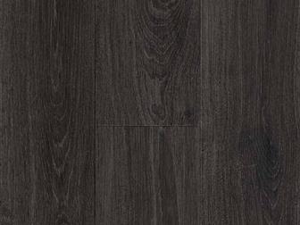     qua_St, AOF 167 Antracite Oak /   (32 ), 32606684  