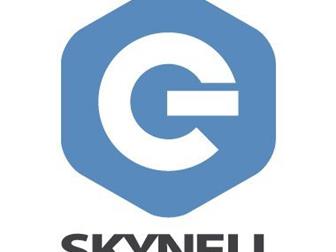         Skynell, com 33581181  