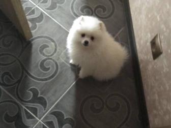 ����� � �������� ����������� ���� �������� � ������