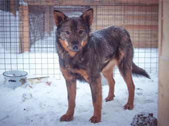 ���� � ������