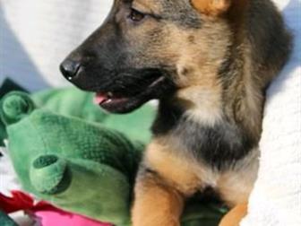 ������� ���� ���� ���! �������, 3 ������, ��������� ������� � ������ ����������� � ����� ���! ������� ��������, ����� ����� � ����� � ���������,  �������� �� ����� � ������
