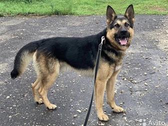 3-4 ����, �������� ������� ����� ���� ���, ������� ��������,  ��� ������ ��������, � ������
