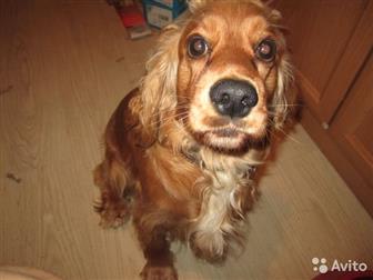 ����� �� �������������� �������� ������, 4 ����, ����, ������ ����, � ������ ������ ���� ���� ��������, ��� ����� ��� ����������� �������, �� ������ ��� ������ � ������