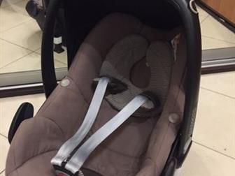   ,   ,   ,  ,  Maxi - cosi Pebble        bugaboo cameleon,     