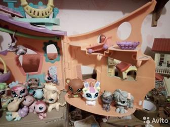   littlest pet shop     35     ,    : /  