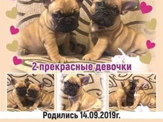 �������� ����� ������������ �������� (����� �� ����), ��� ���������� ��������� �������, ����� �������, ��������, ��������, ����� ��������� � ������ ��������,  ������� � ������
