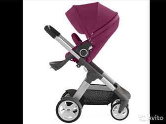   , stokke crusi 21,    Purple  ,    :  ,     