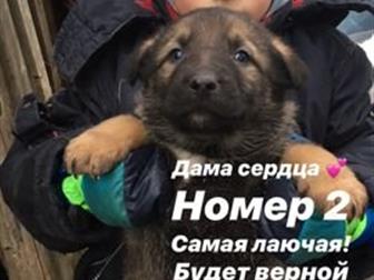 �������������� �����!� ����� ��������� ���� 10 ������ �������� 4 �����,  ��� �������,  ���� - ���������� ��������-����������� �������,  ����� �����, �����������, � ������