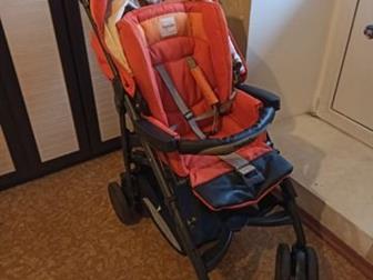   Inglesina Zippy Free 1 ,        (  )  ,  ,   