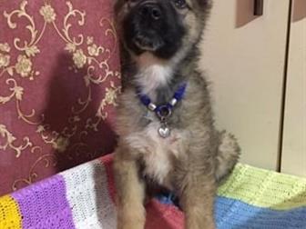 ����� ��������, �������� � ����� ������� ��������� ����� � �������� � �����,  ����� ��������� �� ���������, ������ ����������,  �������� �������� �������, �������� � ������