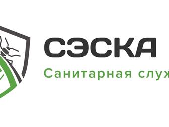 ���������� ���� ������ ������ ����������� SJESKA 82591703 � ������