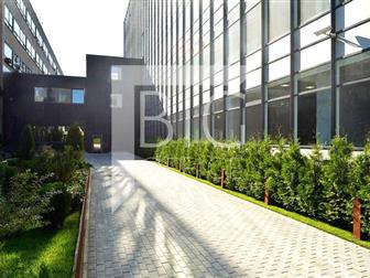 ID #481,  ������������ � ������ ������� ��������� 273 ��, �,  �� ��������� ����������� , ������ � ������,  ���� ���������� � ��������������� ������ ������ �� ������ � ������