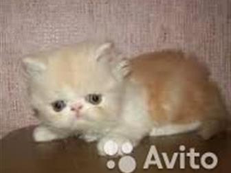      ,  1 ,   ,   (      ),    