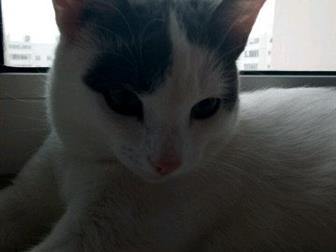   , , !/  ,   ,!,  ! ,        