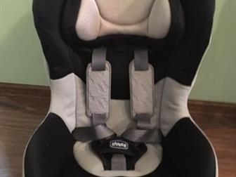  chicco isofix,     ,   ,     ,      : /   