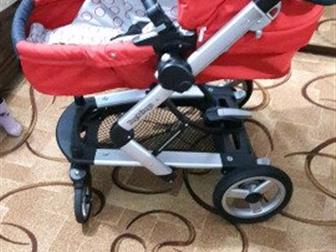     Peg Perego,    ,   ,     ,    , ,  