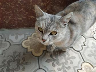     ,        ,    ,    )))  