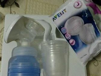         Philips Avent  Natural,  /,   ,    : ,  ,  