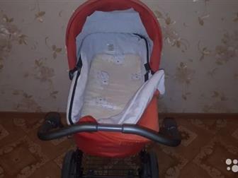  - Inglesina sofia   Ergo bike (     0-13 ),     :- -       