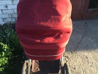   peg perego    : /   