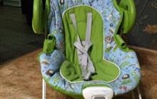    Graco Swing N Bounce