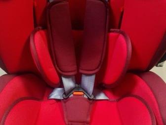  Teddy Bear ZY Isofix       ,         ,   