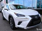 Lexus NX 2.0CVT, 2019, 