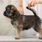 ����� �������� �������������