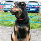 �� ������ ����,����� ����