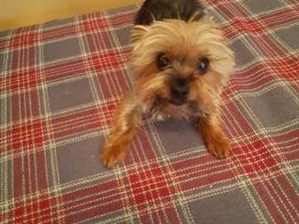 ������� ����������� ������, ������ ���������� � �������, �� ����� �� �����������,  �������, ����������� �������, ��������,  �� ����� �������� ����, ���  ��� � ��� � ������������