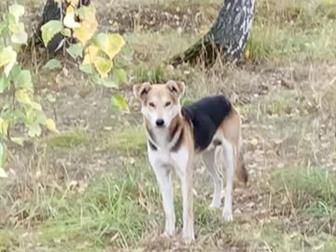 ������� ������ ����� �������, ���������� �� �����,  �� ��� ������, �� ����� ����� ���� ���� �� ������ � ������ �����! ϸ� ����� ��������� � ������� � �� �������� � ������������