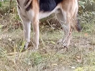 ������� ������ ����� �������, ���������� �� �����,  �� ��� ������, �� ����� ����� ���� ���� �� ������ � ������ �����! ϸ� ����� ��������� � ������� � �� �������� � ������������