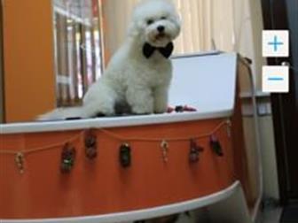 ��������� � ����� ������ ����� �����,  �������� �� ������,  �������� �����������! ���������� ������ ��������,  � ��� ����� ������, ������������, �����, ��������, � ������������