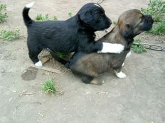 ����� ������,  ����� � ������ ����,  �������� ��� �������� �����,  ������� ���� ������, � ������������