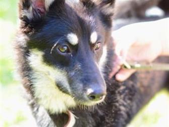 � ����� � ��������� � ������, ���� ����� ������ ������������� �����,  �����������, ������, ����� ��������, �������, ������ ��! � ������������