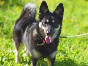 � ����� � ��������� � ������, ���� ����� ������ ������������� �����,  �����������, ������, ����� ��������, �������, ������ ��! � ������������