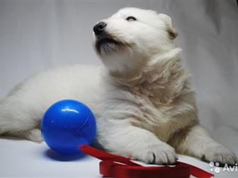 ���������� � ������� � ������������ ����� ����� ����������� �������, ��������� 9, 08, 19,  ����� ������� � ������ ��������� � �������, ���� �������� ��������, �������������� � ������������